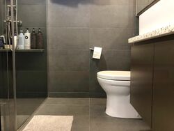 Blk 105B Alkaff Vista (Toa Payoh), HDB 4 Rooms #436563881
